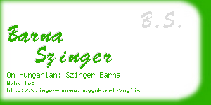 barna szinger business card